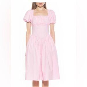 Elegant Pink Midi Dress
